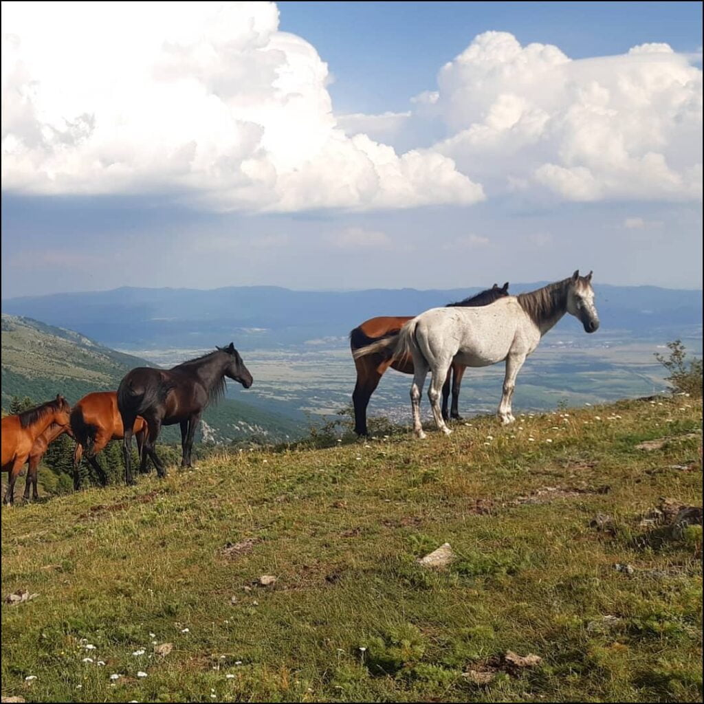Bulgarie - Balkans paysage - Tom-spirit voyage - Autostop Europe de l'est