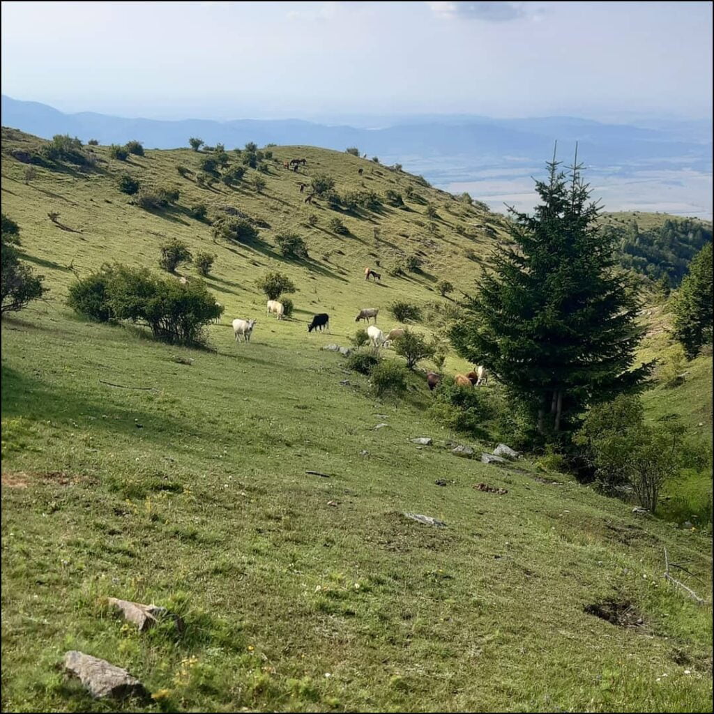 Bulgaria - Balkans landscape - Tom-spirit travel