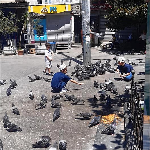 Istanbul street life - peoples - turkey - tom-spirit voyage travel