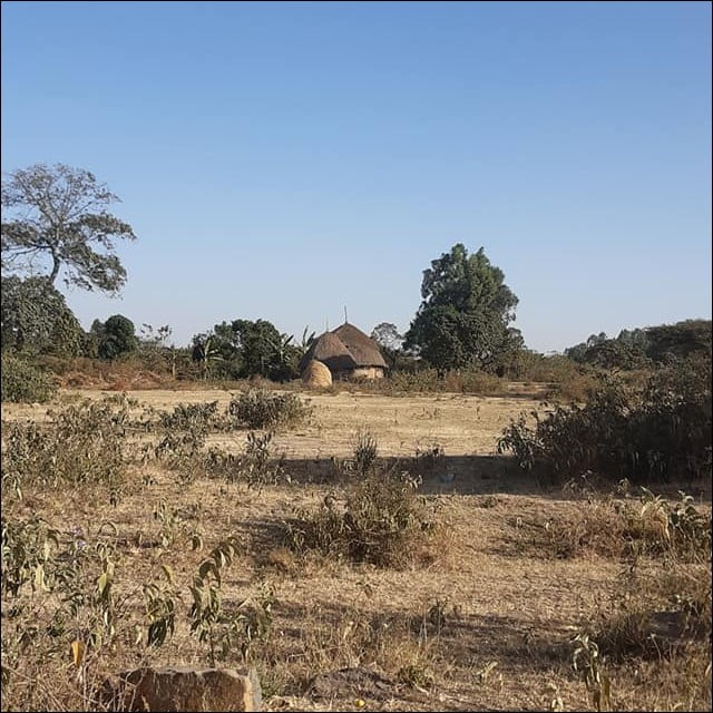 Traditional Ethiopian house