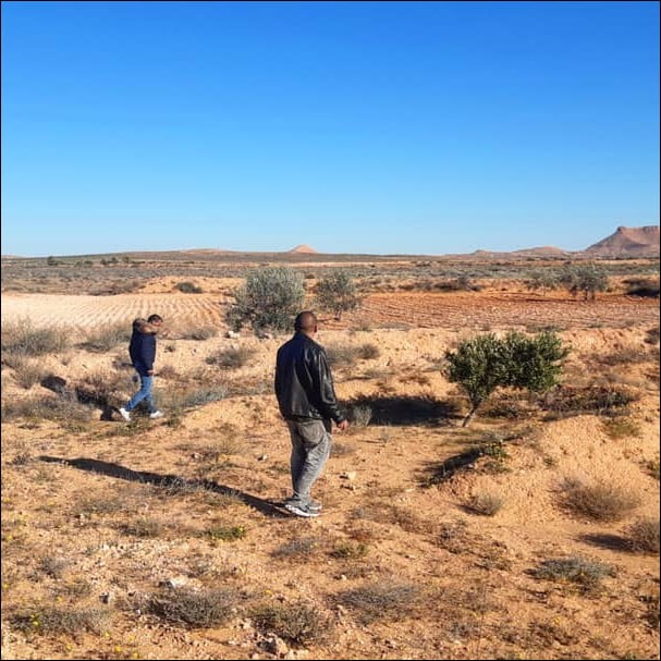 truffe dans le désert du sahara