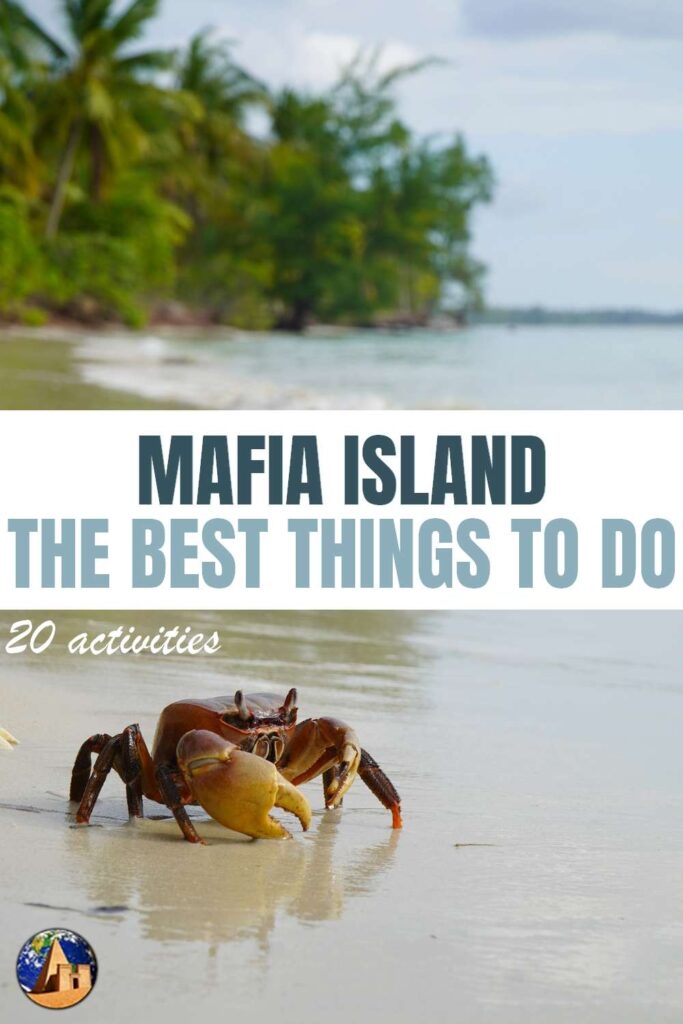 What to do in Mafia Island ?