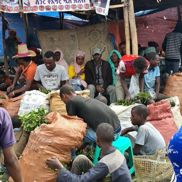 Why visit Ethiopia? Discover the craziest facts about this country!