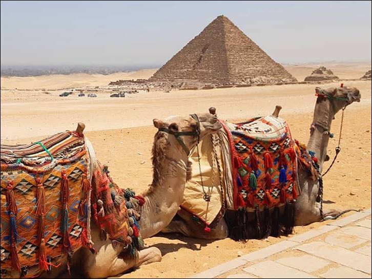 Visit the pyramids of Giza