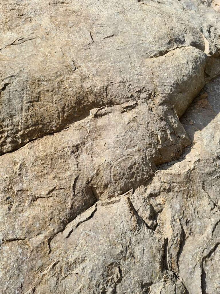 Rock and anthropomorphic engravings from Hasat Bin Salt near Al Hamra. Archaeological and historical site: Coleman's rock, ox and horse rock.