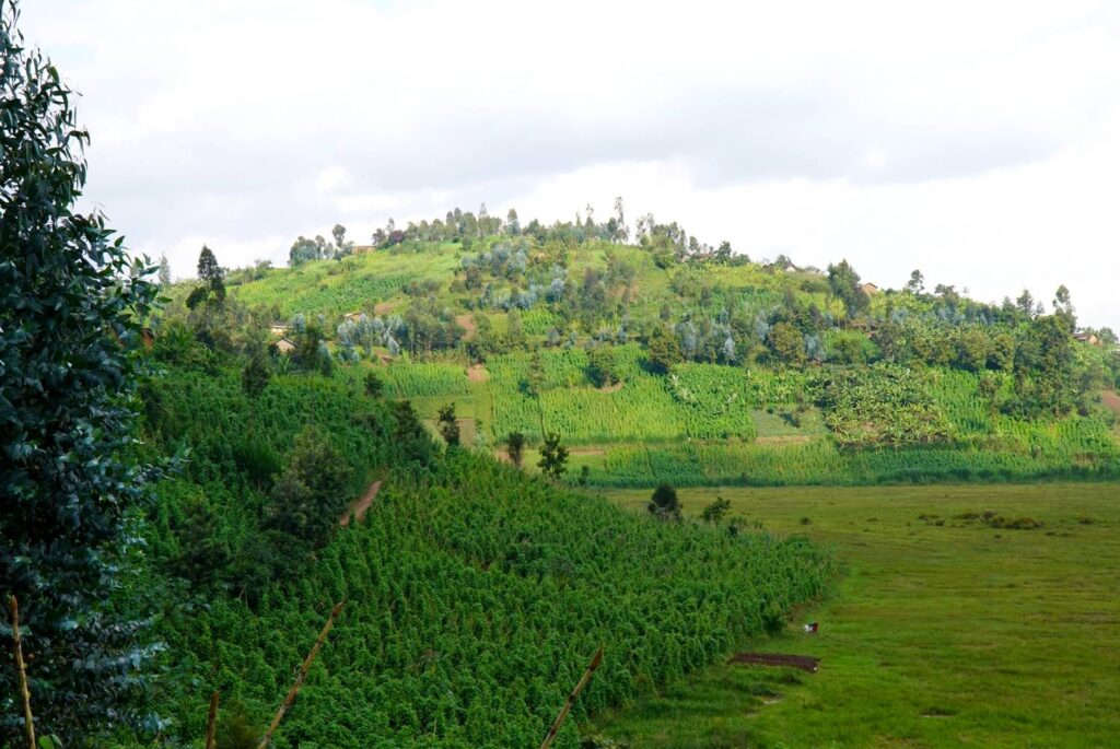 Travel to Rwanda - Spirit Travelers