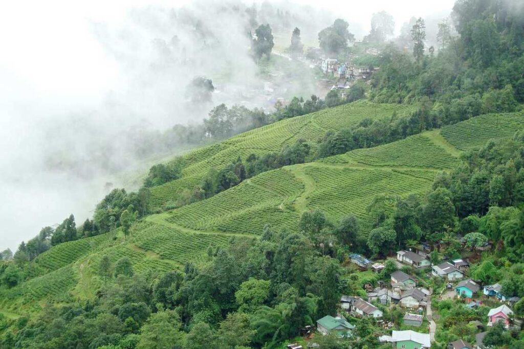 Randonnée à Darjeeling